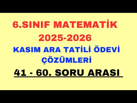 6   2025       41 60