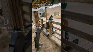 Wingham Wildlife Parkseptember 2023Part 2