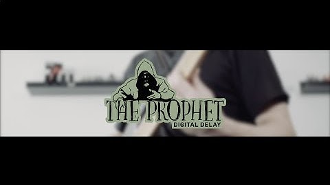 The Prophet Digital Delay Bass Demo