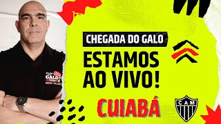 🔴 CHEGADA DO GALO EM CARIACICA AO VIVO COM BRENO GALANTE