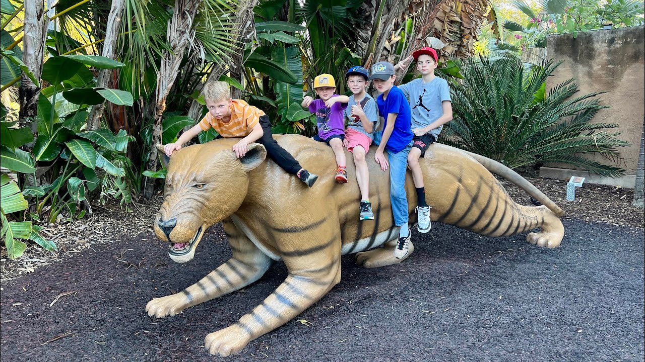 San Diego Zoo! YouTube