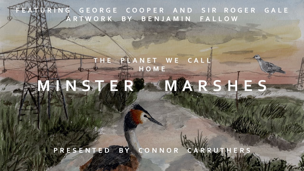 Minster Marshes | Full Documentary | The Planet We Call Home