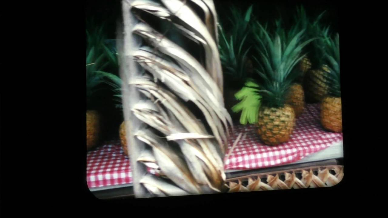 The People's Cinema (23.7.-11.9.2016)