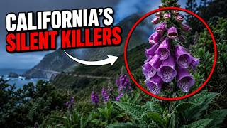 11 DEADLY Plants Hiding Across California