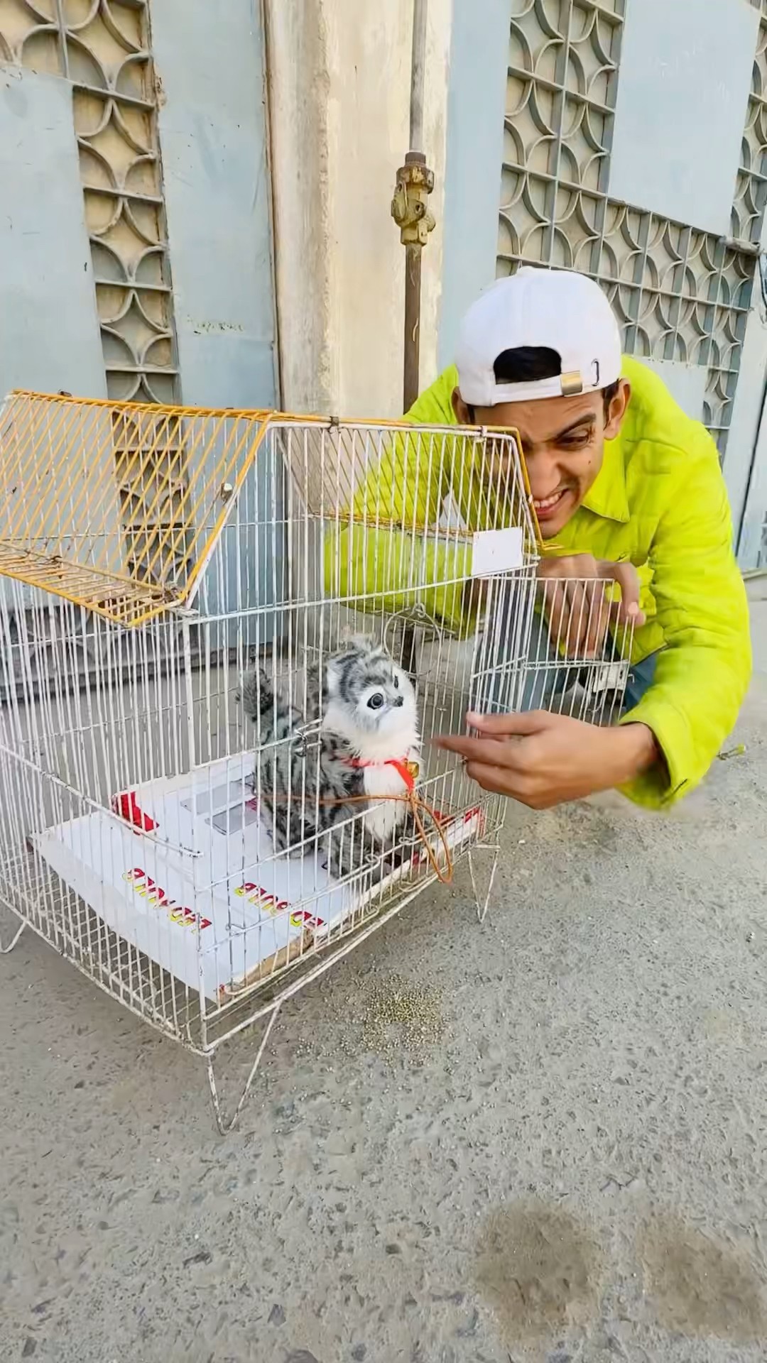 This Pet Wants Freedom ?❤️|
