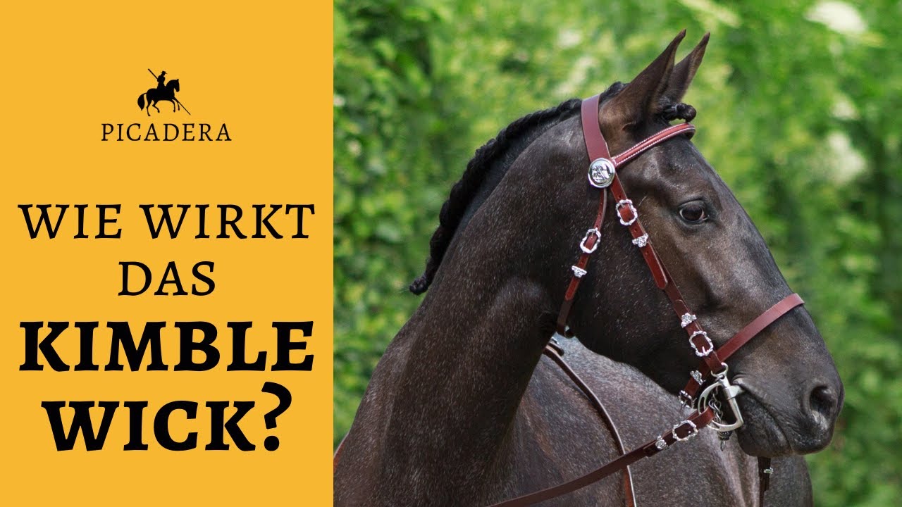 Kimblewick Con Punte Cavallo Snodate - Guancia Scanalate - Porta Bocca 4,9'' - Parman