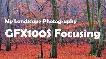 My Photography Fujifilm GFX100S Focusing