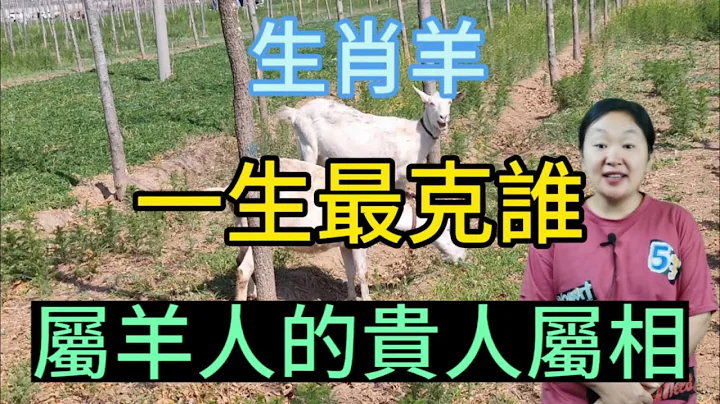 生肖羊！一生最克谁？属羊人的贵人属相是谁？ - 天天要闻