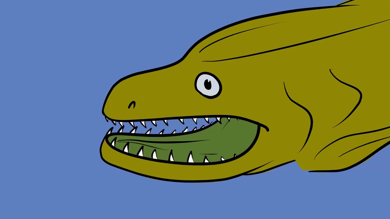 That's a Moray (Eel with Pharyngeal Jaws)