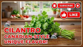 Canadian-Style Cilantro: Unique Flavor & Easy Growing Tips!