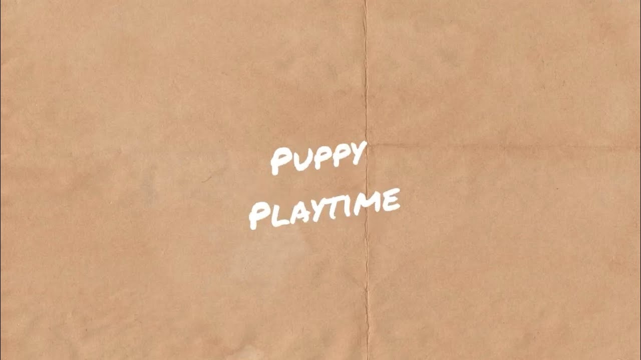 Puppy Playtime Near Me Puppy Playtime Near Me