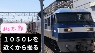 貨物列車1050レをホームから撮る EF210-13 20230401