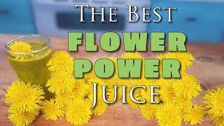 DANDELION FLOWER JUICE  115x Better Than the Roots & Leaves