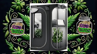 My Personal Garden Tour And All The Equipment I Use