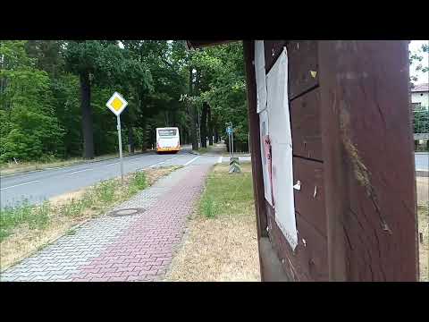 Bhf Bernsdorf hbf (T.158-161)- katze, bhf am 10.07.25, 14.07.25 um 20.24 uhr