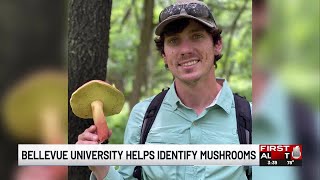 Bellevue University helps identify mushrooms