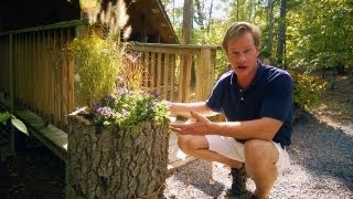 How to Make Wood Log Planters | At Home With P. Allen Smith