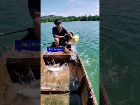 Daily Line Fishing