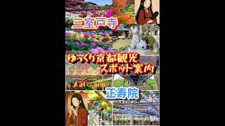 ゆっくり京都観光スポット案内 【正寿院】【三室戸寺】