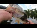 Insane | The monster bass in this video keeps breaking my heart