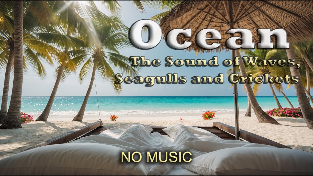 Relaxing Ocean Waves, Seagulls & Summer Ambience (2 Hours) ☀️ Bed on the Beach, for Deep Relaxation