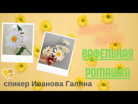 МК Вафельная ромашка от mk galka novawaffle chamomile