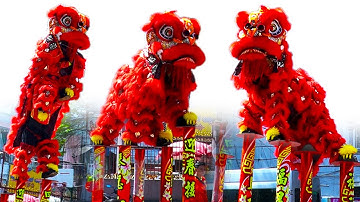 Múa Lân Khai Quang Điểm Nhãn Lân Sư Rồng 2025 đoàn LSR Hải Nam Hào Quang giỗ Tổ Huê Quang Đại Đế