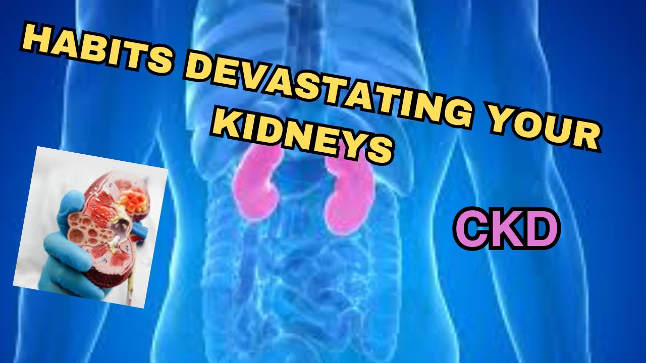 7-worst-habits-for-your-kidneys-youtube