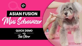 Miniature Schnauzer | Asian Fusion Dog Grooming with Tess Oliver