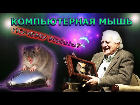 КОМПЬЮТЕРНАЯ МЫШЬ. Почему её назвали именно так? Кто изобрел? Какие бывают?