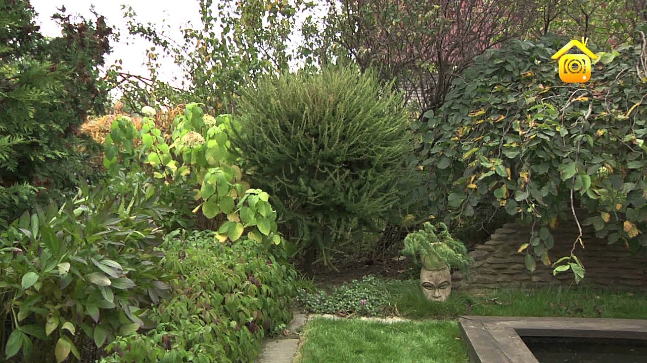 Форумхаус Ландшафтный Дизайн фото 15