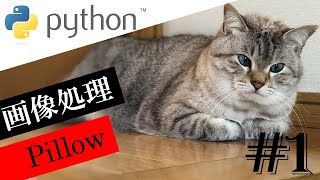 Python で始める【画像処理】#1：Pillow ライブラリのインポートと使い方