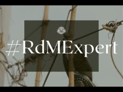 #RdMExpert