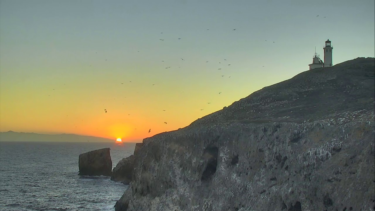 camera iphone 8 plus apk Anacapa Island Cove - Channel Islands National Park Cam 09-18-2018 06:34:16 - 07:34:17