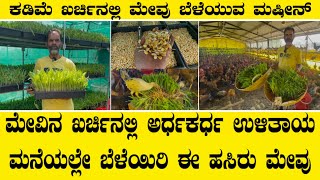 ಮೇವಿನ ಖರ್ಚಿನಲ್ಲಿ ಅರ್ಧಕರ್ಧ ಉಳಿತಾಯ ಮನೆಯಲ್ಲೇ ಬೆಳೆಯಿರಿ ಈ ಹಸಿರು ಮೇವು||Hydrophonics green fodder
