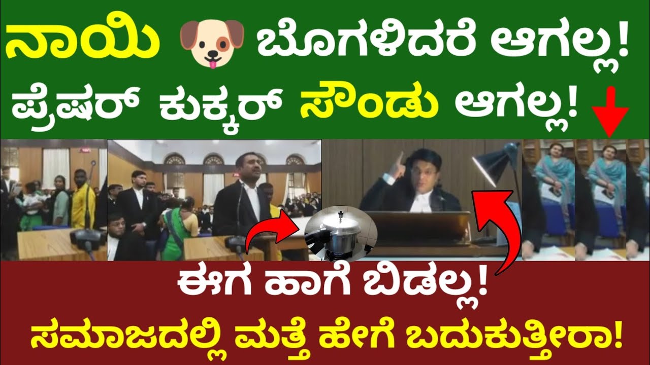 Разве вы не знаете, как жить в обществе? Судье Пульгараму следует сейчас же преподать урок мудрости.