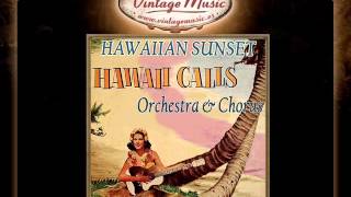 Vignette de la vidéo "4Hawaii Calls Orchestra   Quiet Village"
