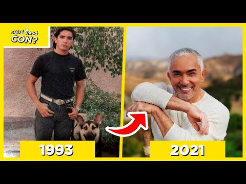 Video: Entrenador De Perros Desde Hace Mucho Tiempo Estrena Nuevo Programa