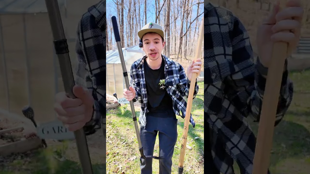 I never thought I’d be excited about pulling out weeds lol