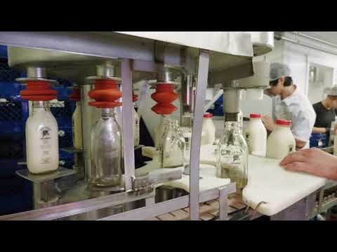 BOTTLING MILK | at the dairy