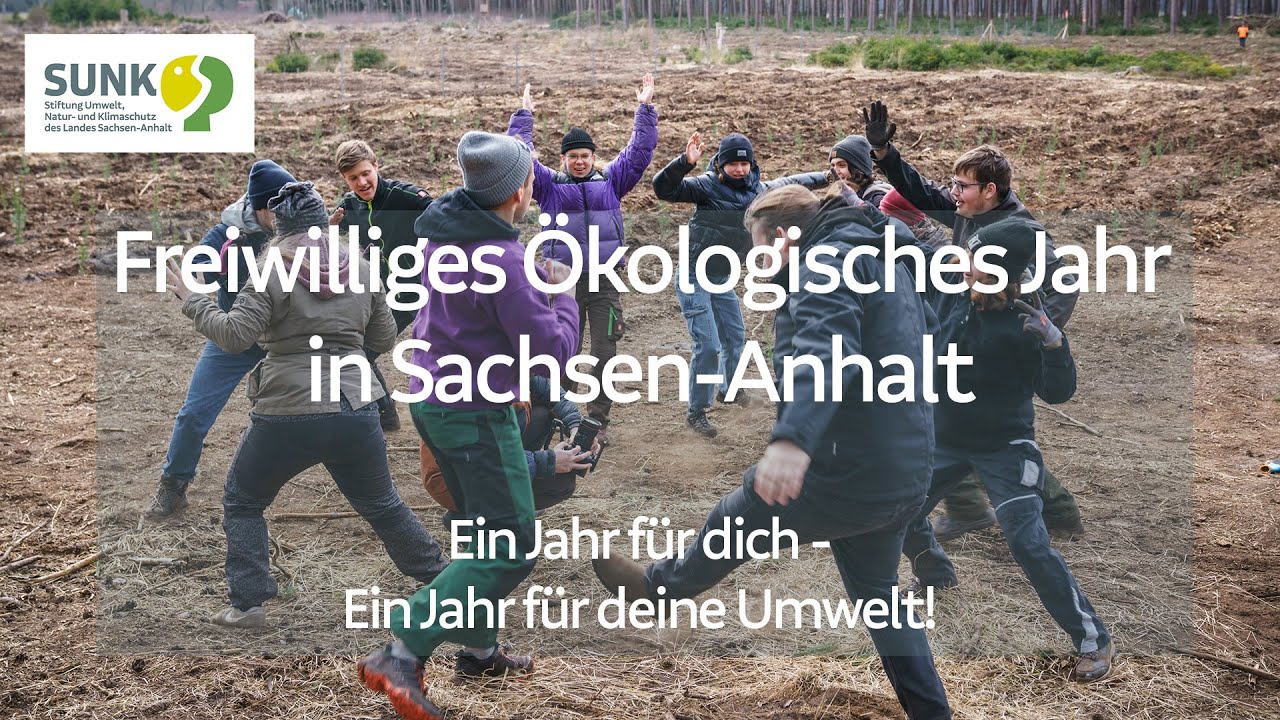 FÖJ Sachsen-Anhalt - Das Freiwillige Ökologische Jahr: Drei FÖJler*innen berichten