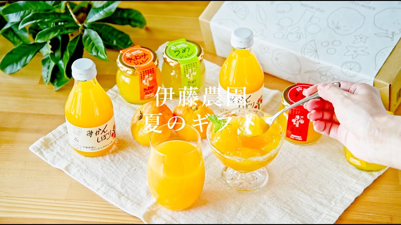 夏ギフト対象商品】みかんジュース180ml＆みかんゼリー90gセット v-092