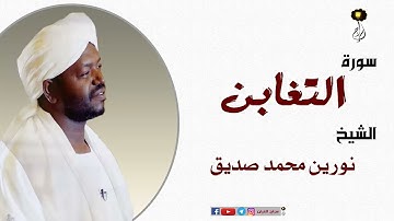 نورين محمد صديق سورة التغابن  برواية الدوري عن أبي عمر.Surah tagabun#Tazim#Shikder#