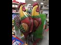 shopping at Tractor supply store