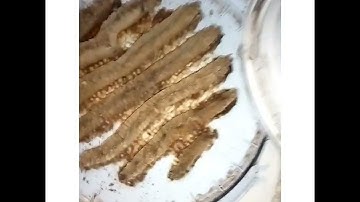 swarm trap update and secrets# swarm bucket