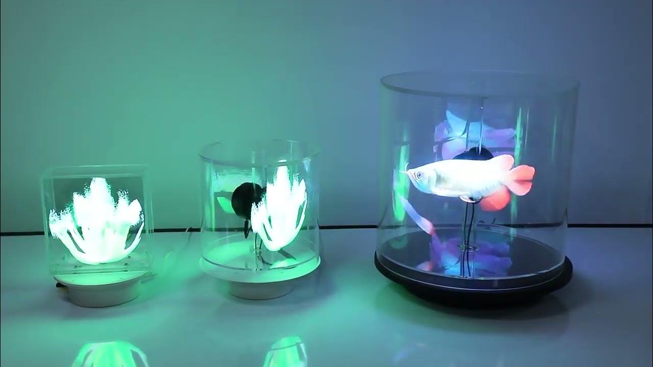 18cm 3D hologram fan Rotate Model - YouTube