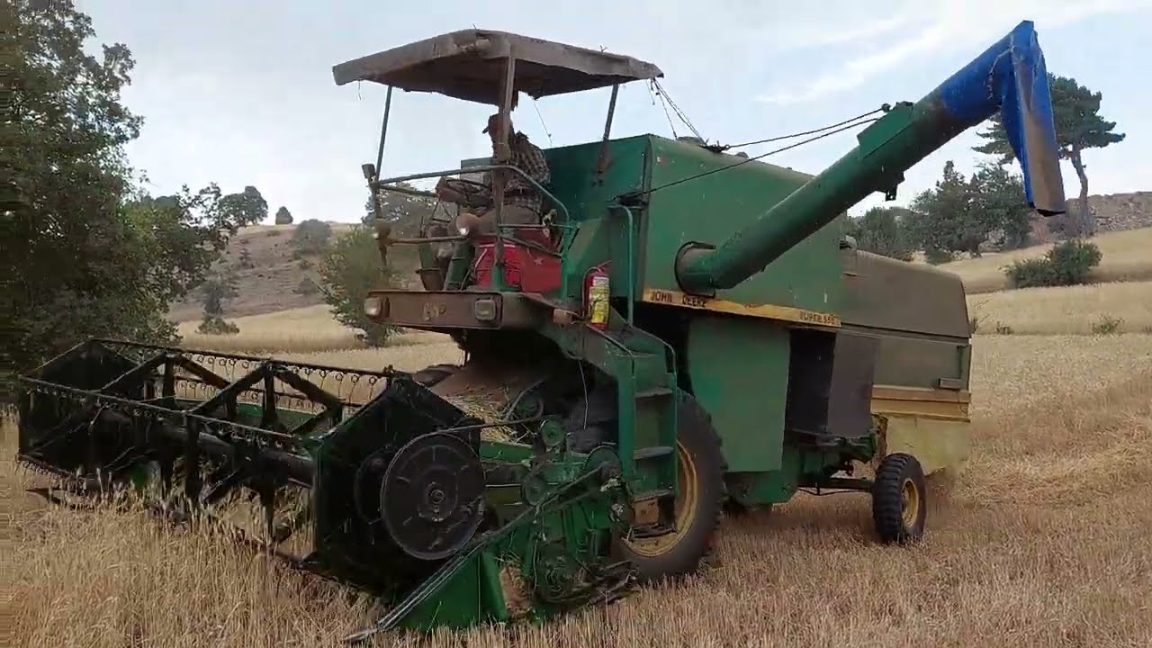 1983 Model Kabinsiz Biçerdöver John Deere Yağmurda Buğday Hasadı John Deere 955 Super