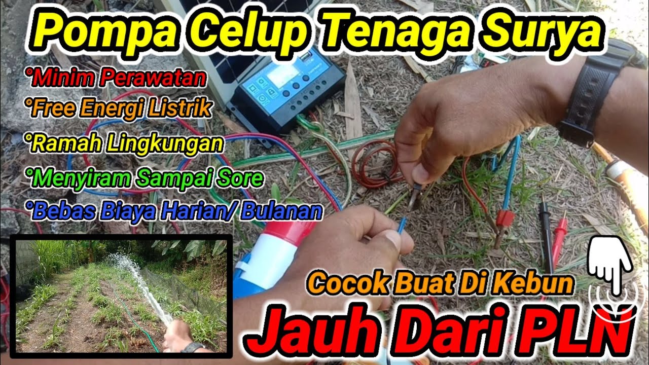 Menyiram Tanaman Seharian!!! Merakit Pompa Celup Mini Bertenaga Surya Untuk Menyiram Tanaman