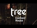 Tree house music fest