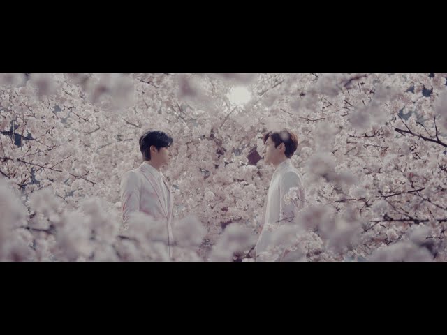 Tohoshinki - Sakura Michi